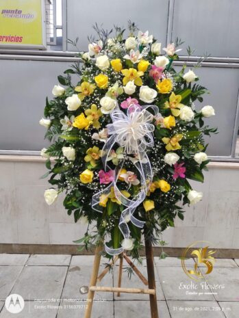 Floristería Exotic Flowers en Bucaramanga | Arreglos Florales Personalizados