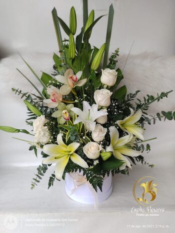 Captura la esencia de cada ocasión especial con fotografía de arreglos florales diseñados para cumpleaños, despedidas, aniversarios, flores para enamorar, grados y nacimientos. En Bucaramanga, Girón, Floridablanca y Piedecuesta, Santander, Colombia, las floristerías ofrecen una variedad de opciones que reflejan emociones y celebraciones. Desde arreglos vibrantes y coloridos para cumpleaños, hasta composiciones elegantes para aniversarios, cada creación floral está pensada para transmitir sentimientos profundos. Las flores románticas son perfectas para enamorar, mientras que los arreglos festivos celebran logros académicos. Además, los suaves y tiernos diseños para nacimientos dan la bienvenida a nuevos comienzos. Cada fotografía resalta la belleza y el significado detrás de las flores, convirtiendo momentos ordinarios en recuerdos extraordinarios