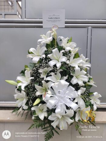 Floristería Exotic Flowers en Bucaramanga | Arreglos Florales Personalizados