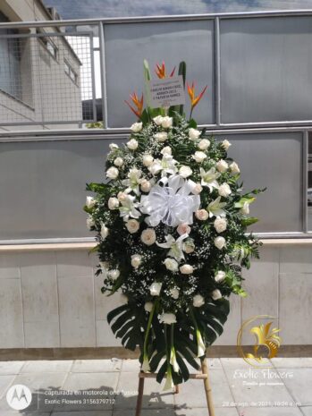 Floristería Exotic Flowers en Bucaramanga | Arreglos Florales Personalizados