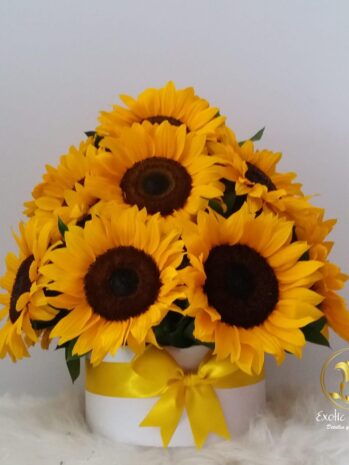 Floristería Exotic Flowers en Bucaramanga | Arreglos Florales Personalizados