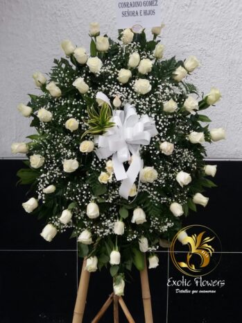 Floristería Exotic Flowers en Bucaramanga | Arreglos Florales Personalizados