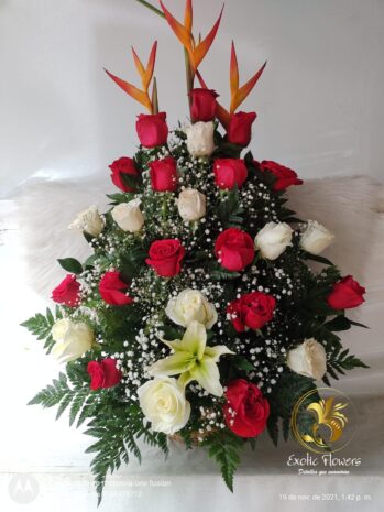 Floristería Exotic Flowers en Bucaramanga | Arreglos Florales Personalizados