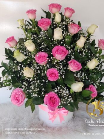 Floristería Exotic Flowers en Bucaramanga | Arreglos Florales Personalizados