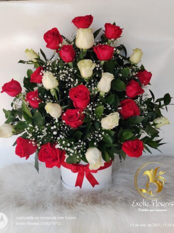 Floristería Exotic Flowers en Bucaramanga | Arreglos Florales Personalizados