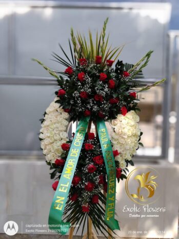 Floristería Exotic Flowers en Bucaramanga | Arreglos Florales Personalizados