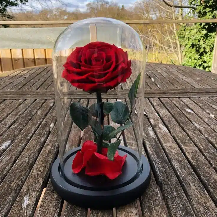 Rosa inmortalizada en cápsula de Exotic Flowers, Floristería en Bucaramanga, preservada para mantener su esplendor y frescura, perfecta para regalar. Entregas a domicilio.