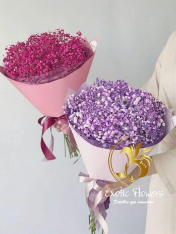 Arreglo Floral en Gipsofilia: Perfecto para Cualquier Ocasión