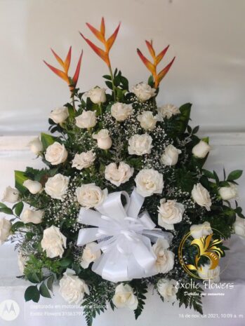 Floristería Exotic Flowers en Bucaramanga | Arreglos Florales Personalizados