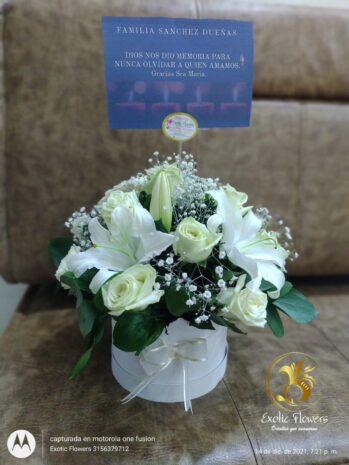 Floristería Exotic Flowers en Bucaramanga | Arreglos Florales Personalizados