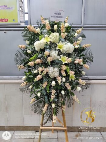 Floristería Exotic Flowers en Bucaramanga | Arreglos Florales Personalizados