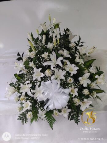 Floristería Exotic Flowers en Bucaramanga | Arreglos Florales Personalizados