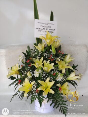 Floristería Exotic Flowers en Bucaramanga | Arreglos Florales Personalizados