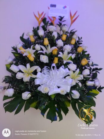 Floristería Exotic Flowers en Bucaramanga | Arreglos Florales Personalizados