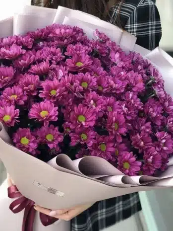 FLORES EN BUCARAMANGA