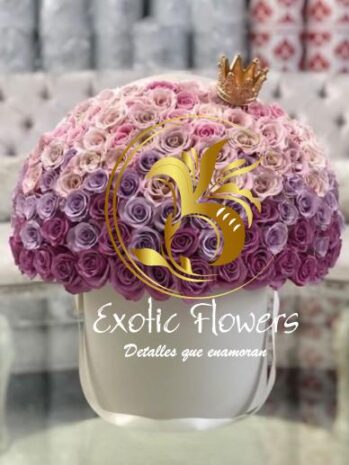 Floristería Exotic Flowers en Bucaramanga | Arreglos Florales Personalizados
