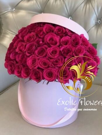 Floristería Exotic Flowers en Bucaramanga | Arreglos Florales Personalizados