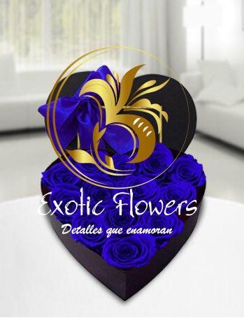 CORAZON DE ROSAS AZULES
