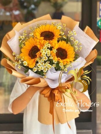 Girasoles Besos al Atardecer