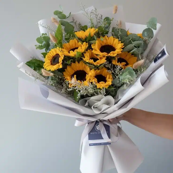 ramos fúnebres-arreglos florales en Bucaramanga-flores para funeral-plantas de orquídea-flores para 15 años-bouquet de rosas para regalar-flores para hoy-rosas para cumpleaños-diseños florales para aniversarios-flores grados Piedecuesta-ramos especiales-flores en Floridablanca -floristería en girón-flores a domicilio Bucaramanga- bouquet-de-claveles-elegantes-claveles-bucaramanga-ramos-floridablanca-flores-piedecuesta-flores -hermosas- rosas- para- enamorar-manuales-girasoles-arreglos- florales-Bucaramanga
