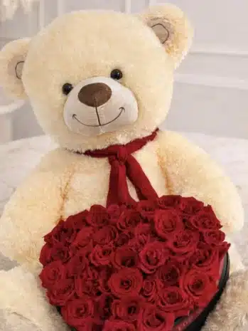 Rosas con Peluche Para Enamorar