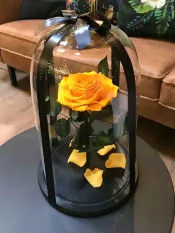 Rosa Inmortalizada de condolencias 3. Floristería Exotic Flowers Bucaramanga