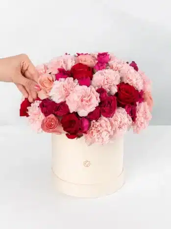 Rosas y Claveles para Conquistar: Un Detalle que No Olvidará