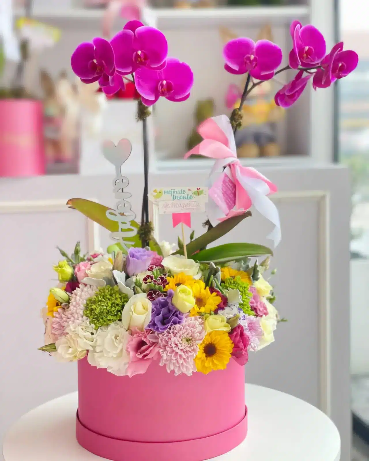 Jardín Floral con Planta de Orquídea Morada: Un Detalle Perfecto para Enamorar