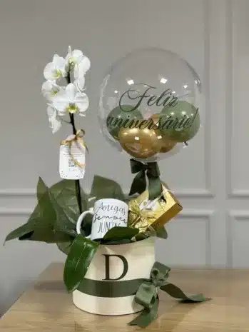 Plantas de Orquídeas para Ocasiones Especiales