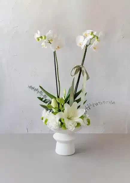 Planta de Orquídea Blanca en Base con Jardín Floral: Un Detalle que Encanta en Reconciliaciones