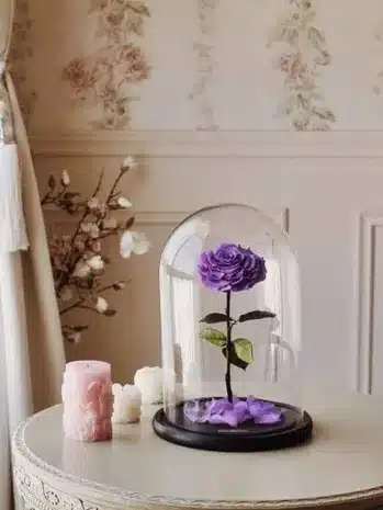 Rosas Inmortalizadas