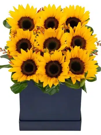 Ramo de Girasoles Elegante · Te Mereces Algo Bonito