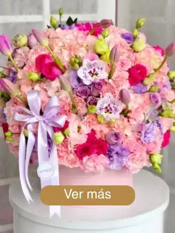 Diseños Florales Premium